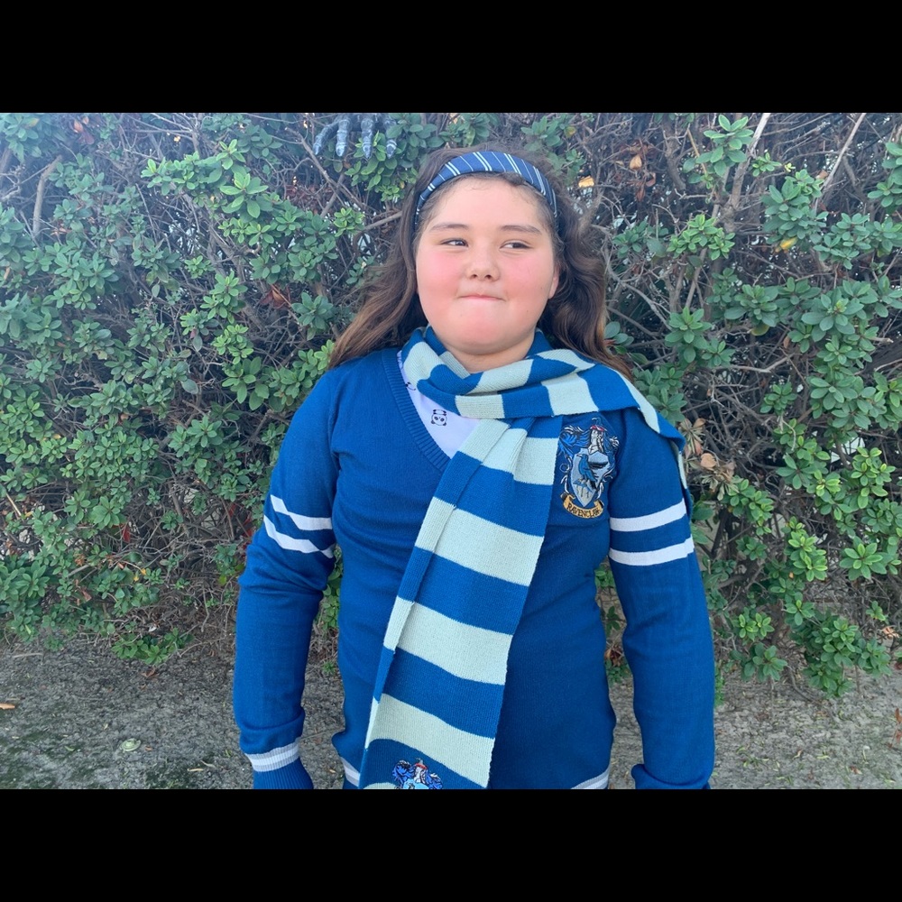 Harry Potter Ravenclaw Bundle